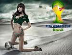 worldcup_2014_002