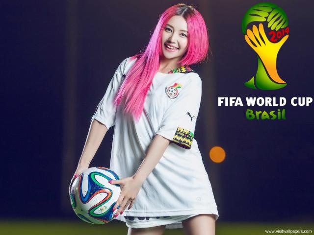 worldcup_2014_014
