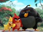 The_Angry_Birds_01