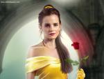 beauty-and-the-beast-7