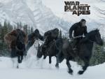 War_for_the_Planet_of_the_Apes_13