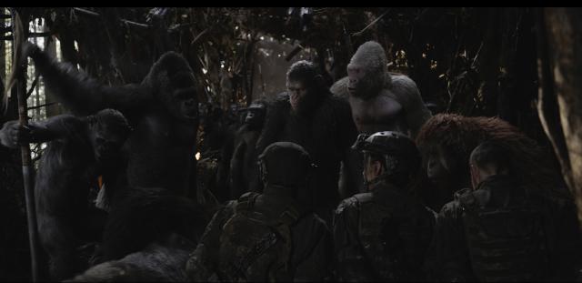 War_for_the_Planet_of_the_Apes_17