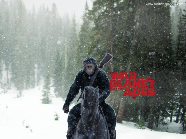 War_for_the_Planet_of_the_Apes_21