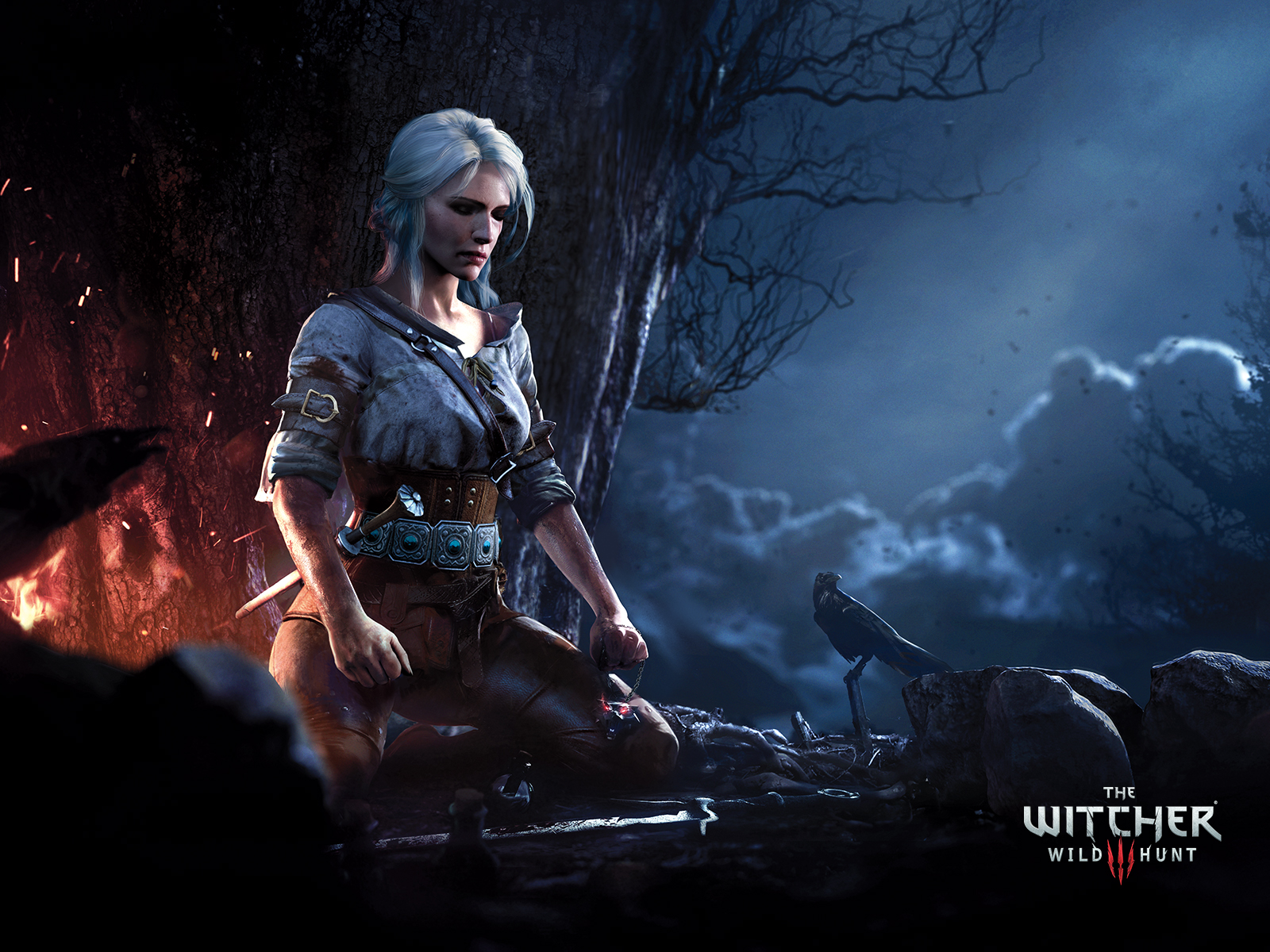 the_witcher3_08