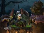 the_witcher3_11