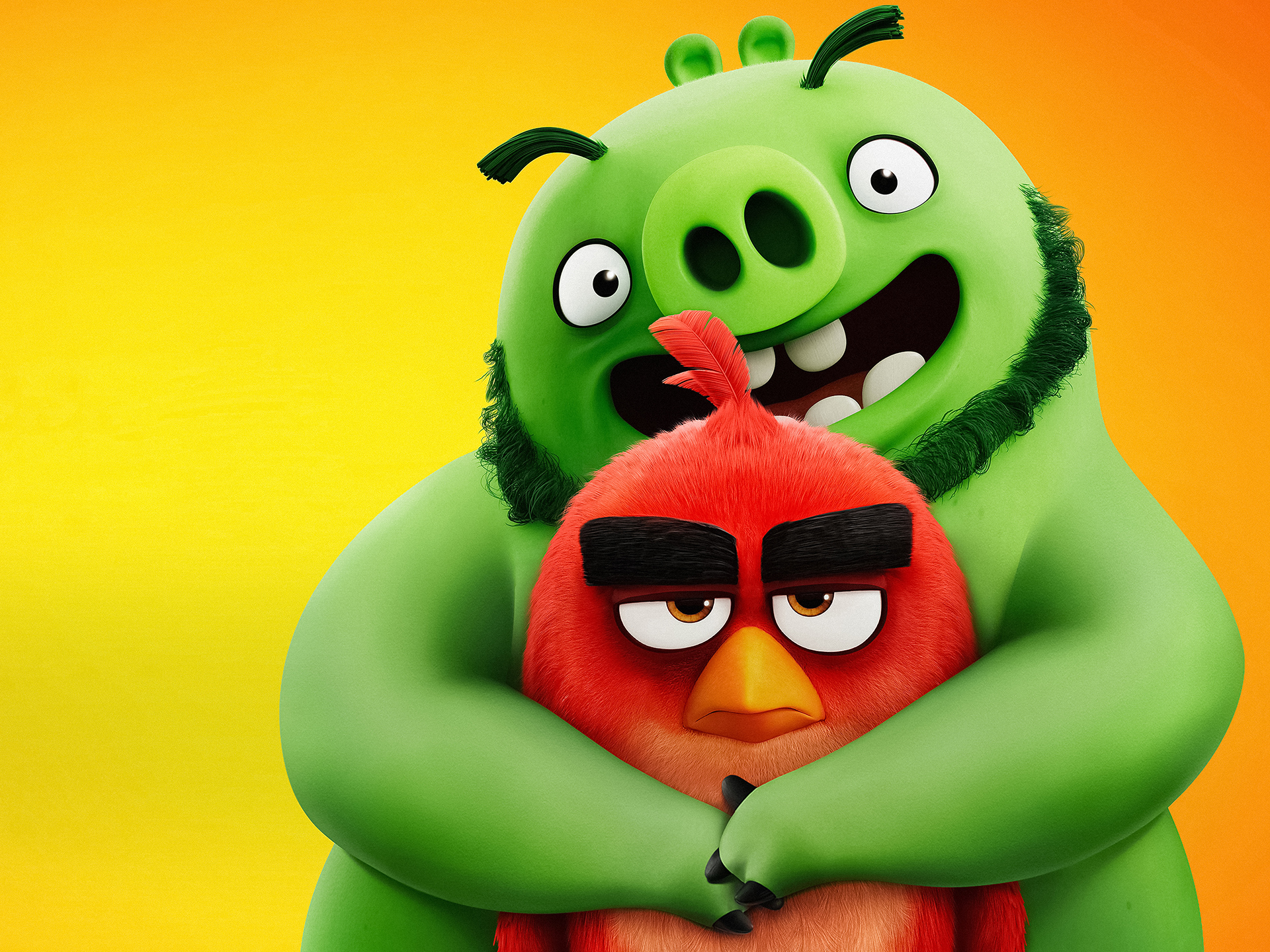 The_Angry_Birds_18