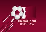 worldcup_2022_43