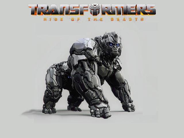 transformers176