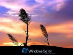 windows_7_065