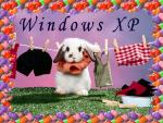 windows_xp_262