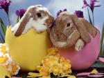 Easter_Bunnies
