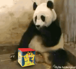 panda_animation