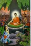 buddha013
