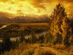 Golden Colors of Grand Teton National Park, Wyoming