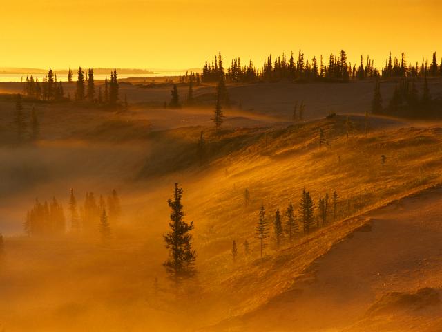 Morning Mist Over the Barrens, Near Thelon River, Northwest Territories