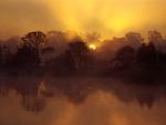 Ashley River at Sunrise, Near Charleston, South Carolina