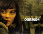 contagion_04