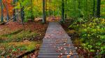 An Autumn Walk Virginia