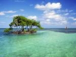 Mangrove Island Cay Caulker Belize