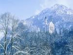 Neuschwanstein Castle in Winter Bavaria Germany