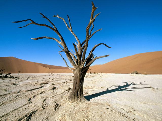 Namib-Naukluft Park Namib Desert Namibia Africa