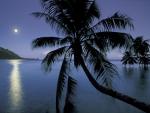 Moonlight Over Opunohu Bay, Moorea Island, French Polynesia