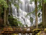 Ramona Falls, Mount Hood Wilderness, Oregon