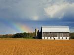 Rainbow Over Lindsay, Ontario