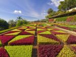 Formal_Gardens_Madeira_Portugal