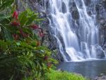 Kepirohi_Waterfall_Micronesia