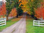 Autumn_Road_Michigan